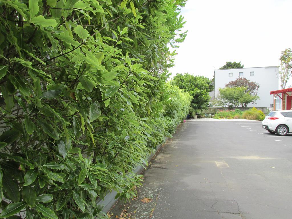 Dilworth Motel Auckland Exterior photo
